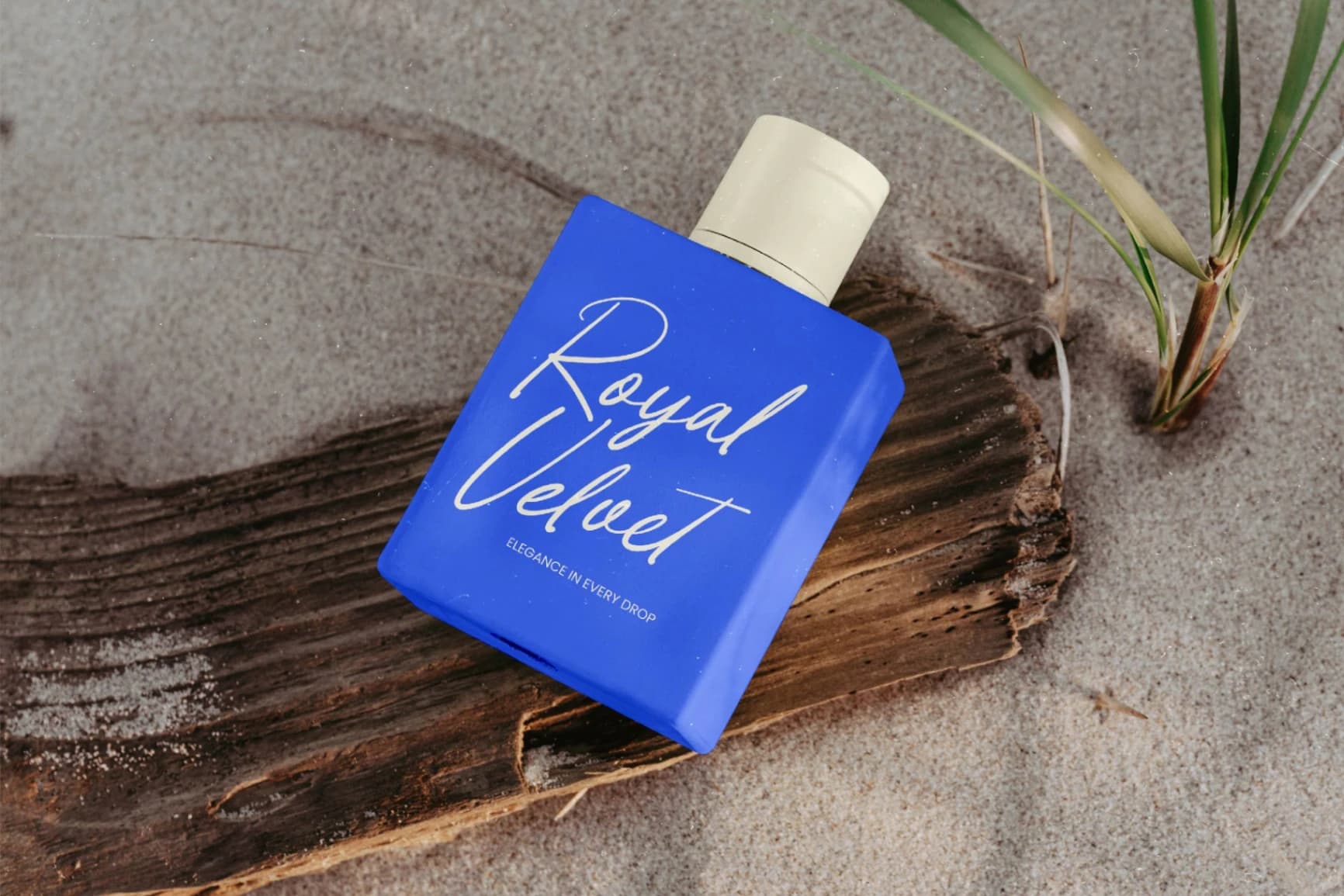 Preview 10 for Tender Natural - Handwritten Ink Font