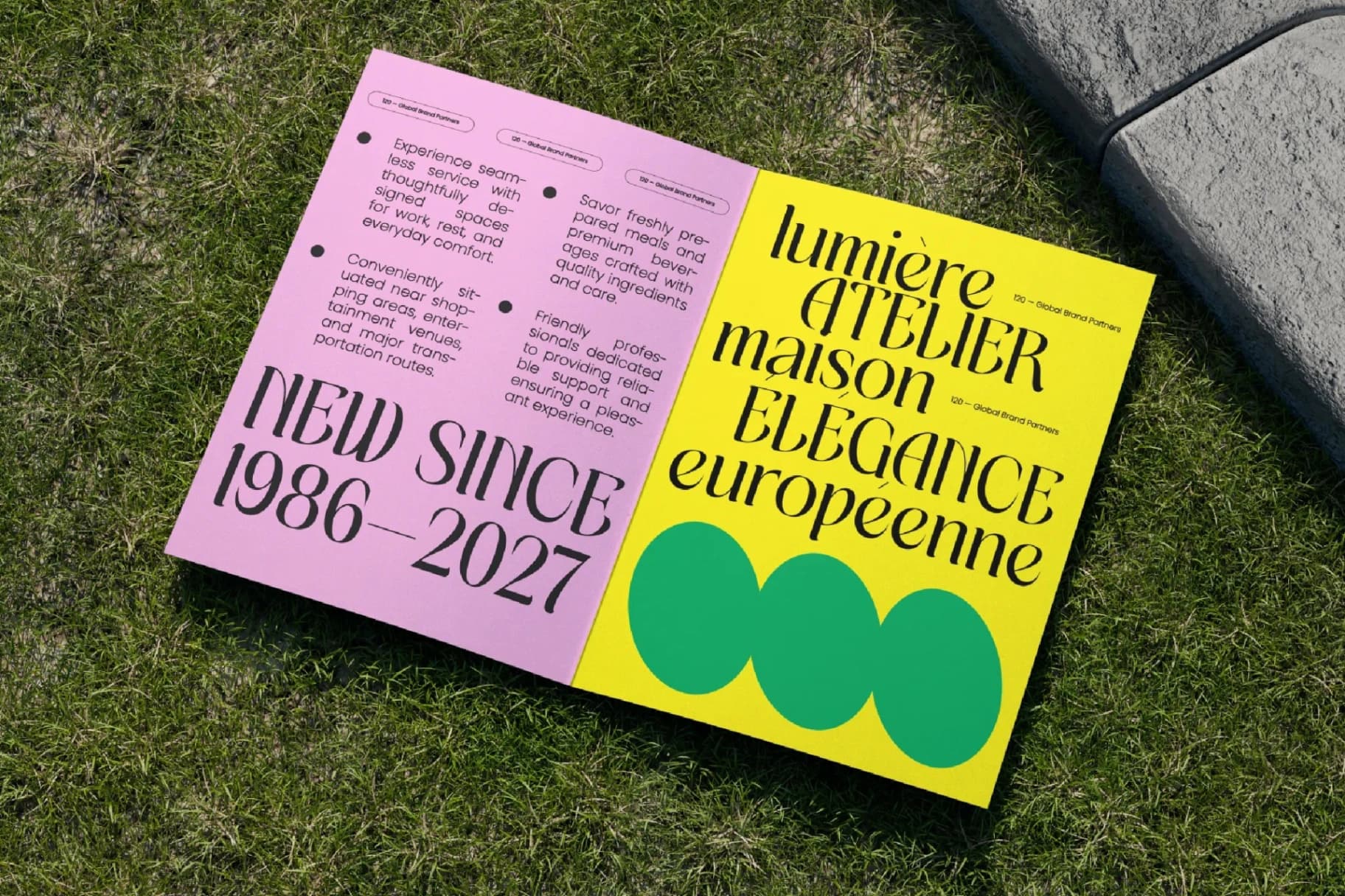 Preview 6 for Matrixgi – High-Contrast Decorative Serif