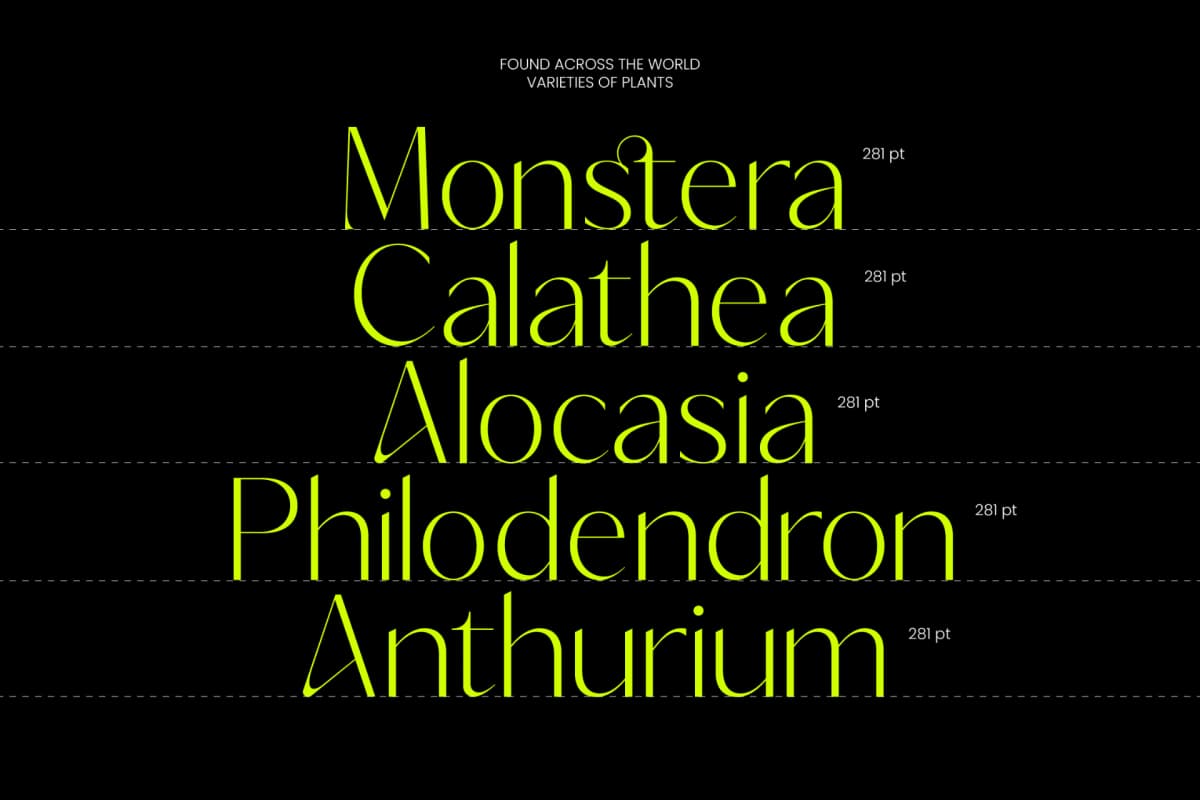 Preview 6 for Silence Night – Elegant Sans Serif Font