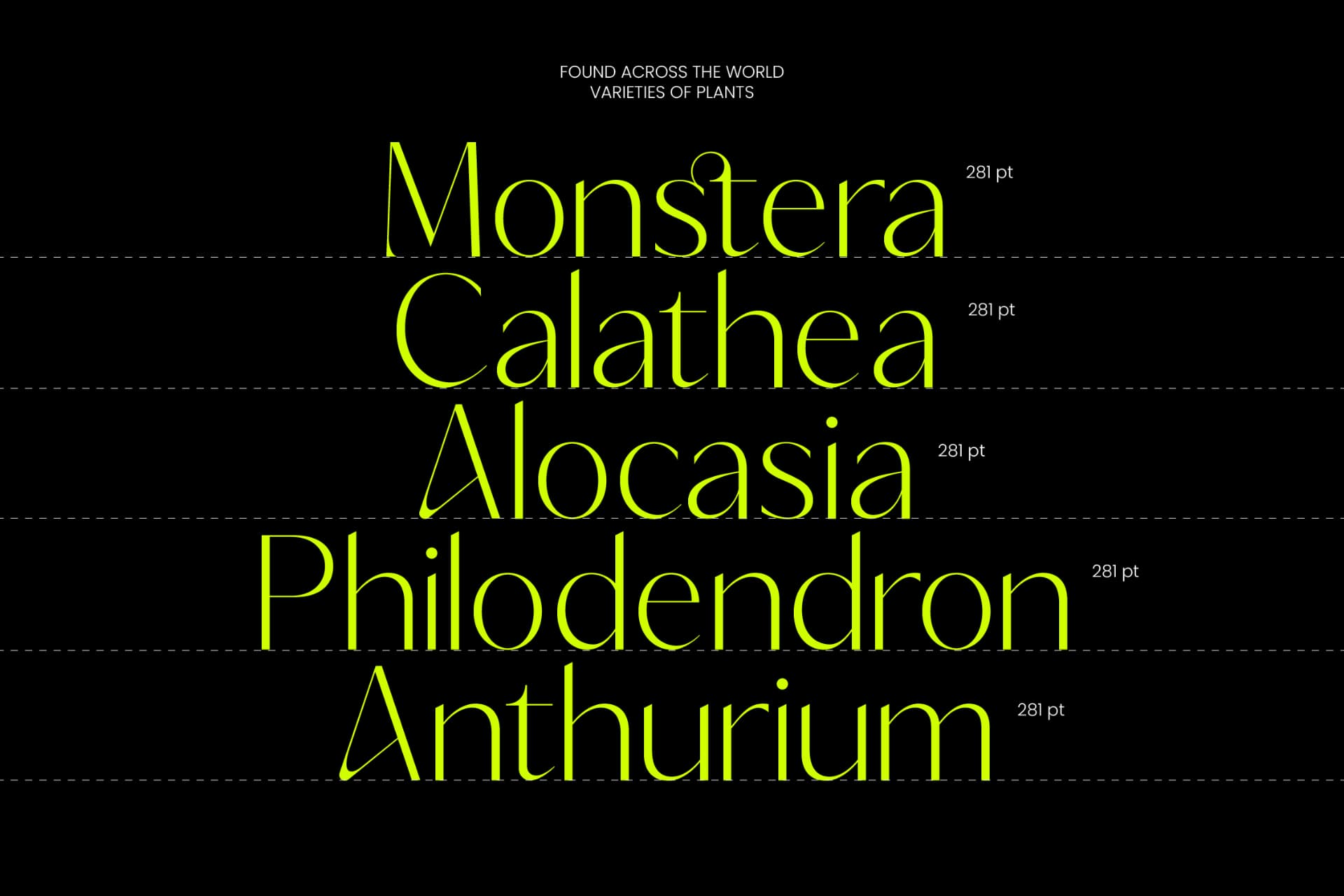 Preview 6 for Silence Night – Elegant Sans Serif Font