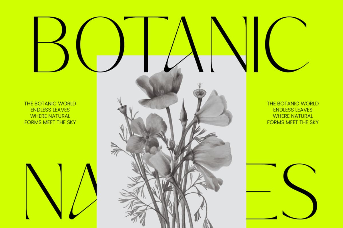 Preview 4 for Silence Night – Elegant Sans Serif Font
