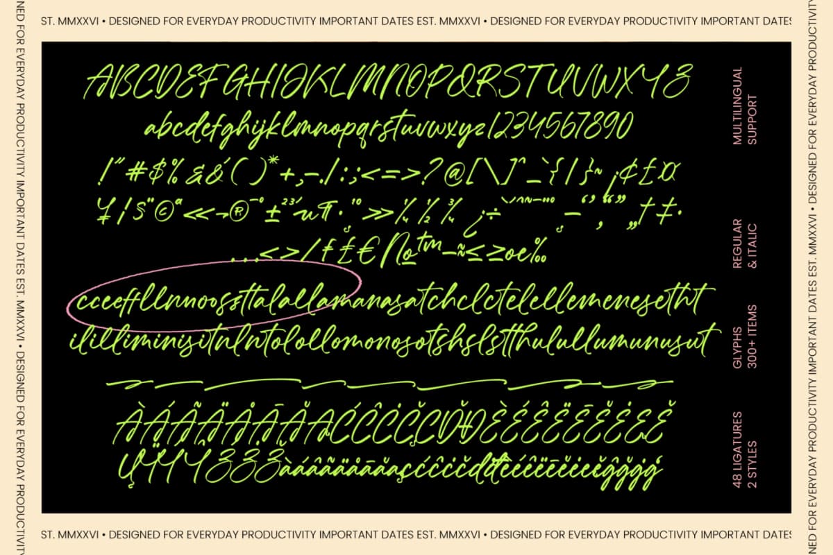 Preview 10 for Chastel Reid - Modern Handwritten Script